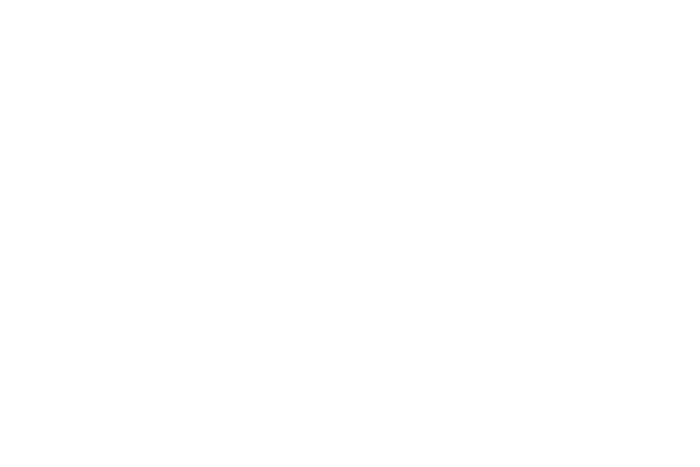 Corporate & Capital Markets